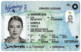 driving license