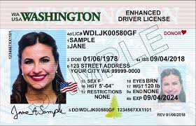 driving license