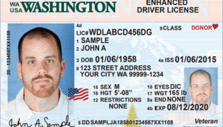 driving license