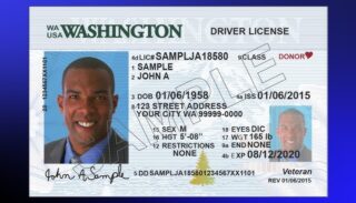 driving license