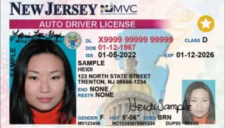 driving license